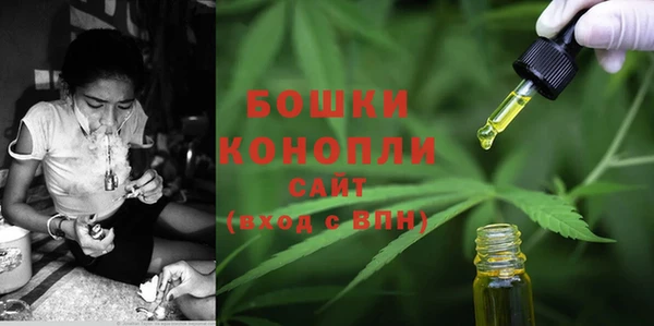 PSILOCYBIN Богданович