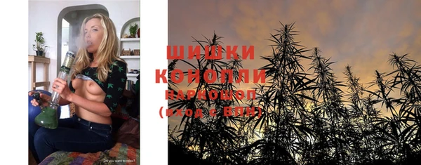 PSILOCYBIN Богданович